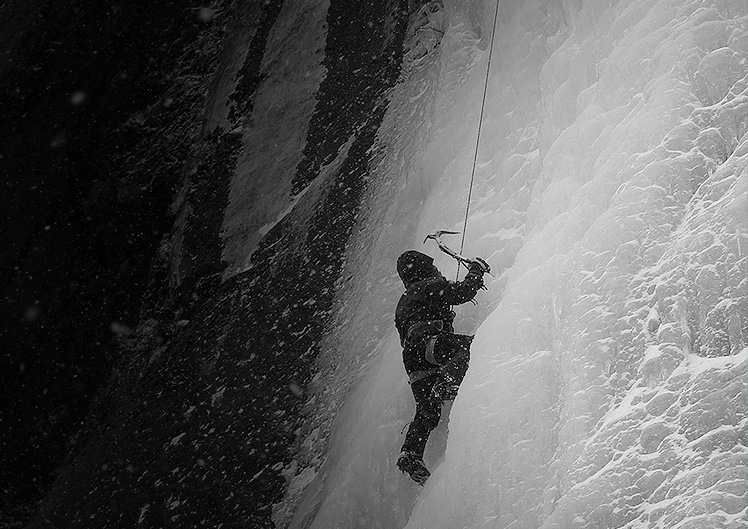 デルマー・プロミス 小さくとも前へ向かう