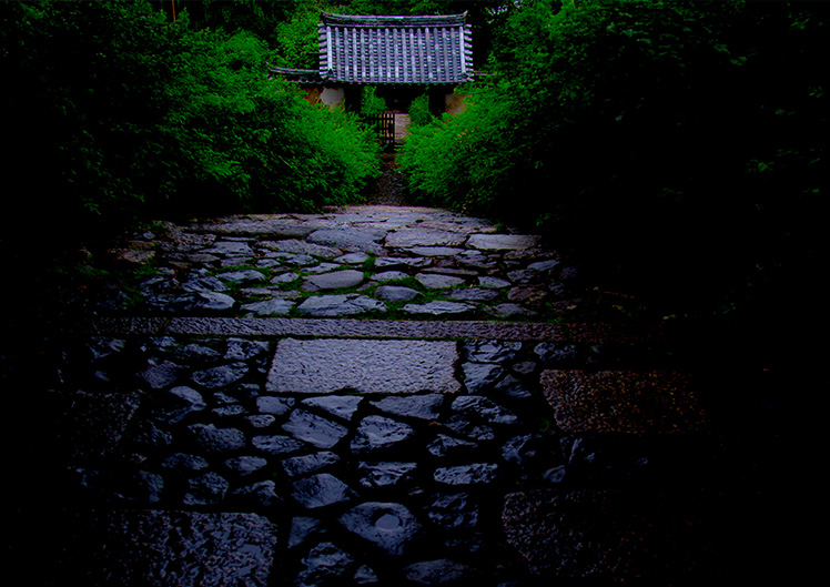 デルマー・プロミス デザインのためのデザインはしない。