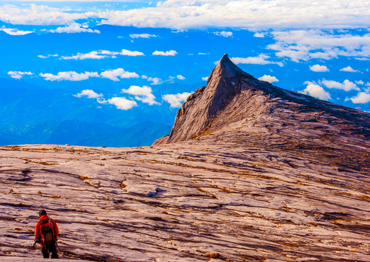 デルマー・プロミス 過去の情報を、役立つ情報に変え、明日へのヒントを探します。